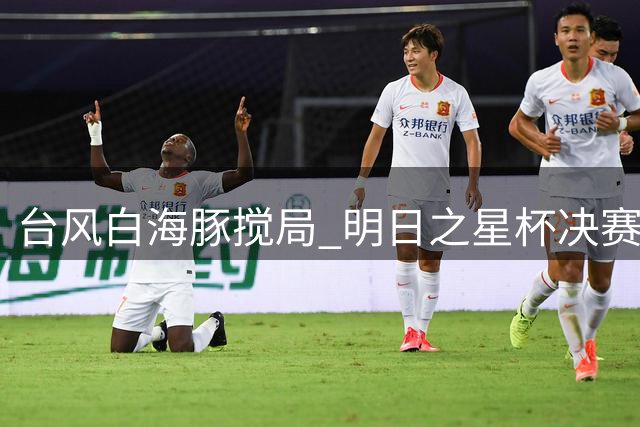 台风"白海豚"搅局 明日之星杯决赛取消 中英U17共享冠军奖杯