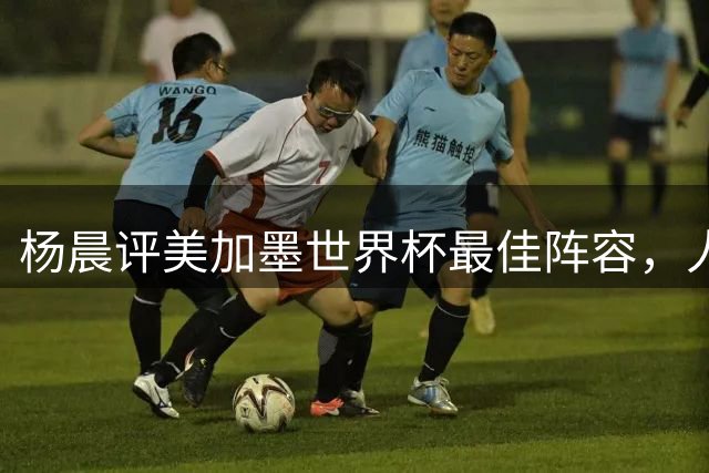 杨晨评美加墨世界杯最佳阵容，人选你认同吗？