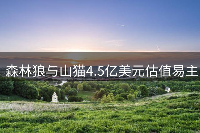 森林狼与山猫4.5亿美元估值易主 洛尔退位罗德里格斯携新资方接盘