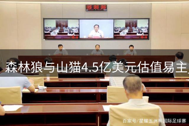 森林狼与山猫4.5亿美元估值易主 洛尔退位罗德里格斯携新资方接盘