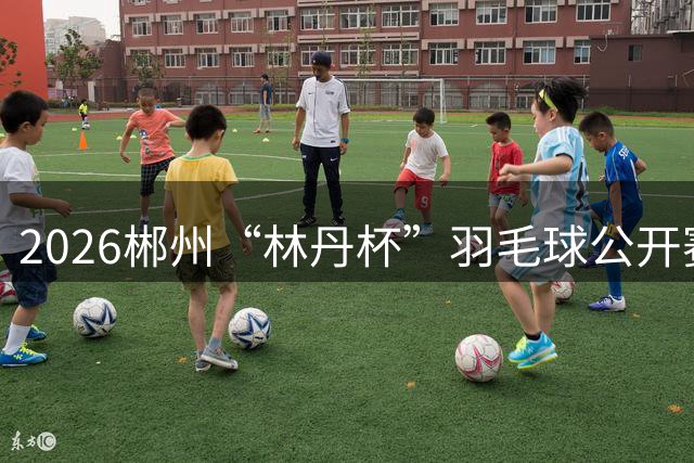 2026郴州“林丹杯”羽毛球公开赛开幕 11个国家和地区运动员参与角逐